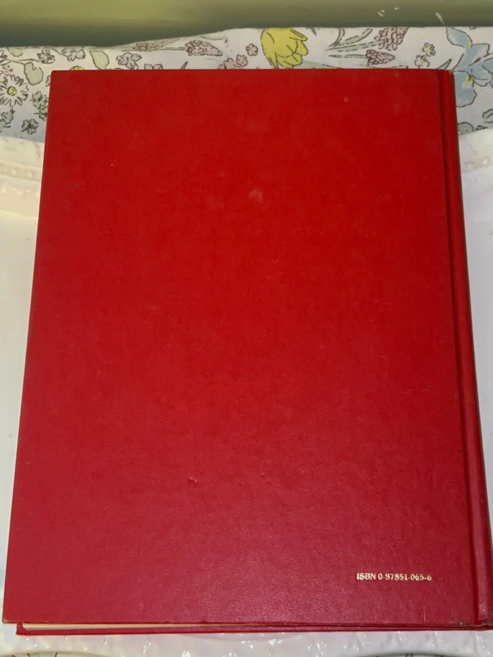 Good Housekeeping's Recipes for 1981 - Red Hardcover Cookbook
